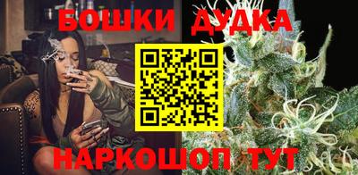 прущие грибы Краснодар