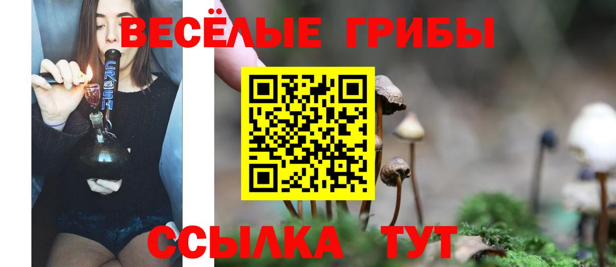 Псилоцибиновые грибы мухоморы  Псилоцибиновые грибы мицелий  Вход с VPN  Валуйки 